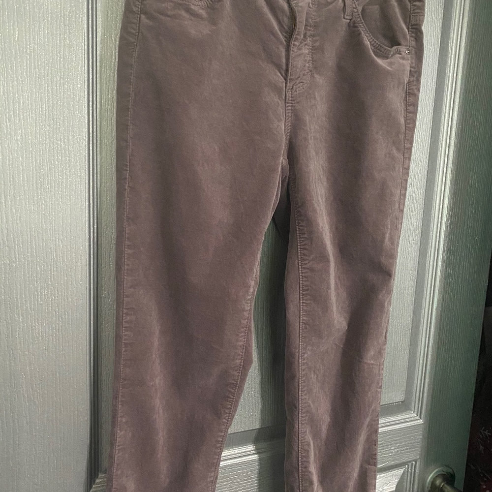 Velvet mauve AG pants